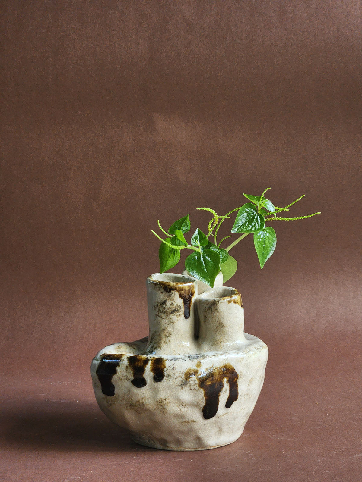 Earth's Offering no. 7