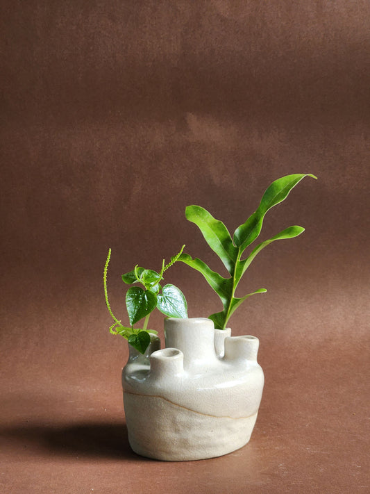 Earth's Offering no. 6