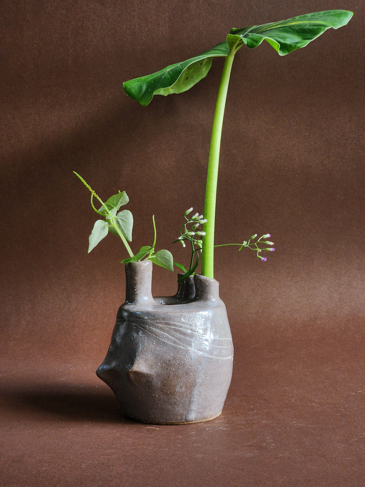 Earth's Offering no. 5