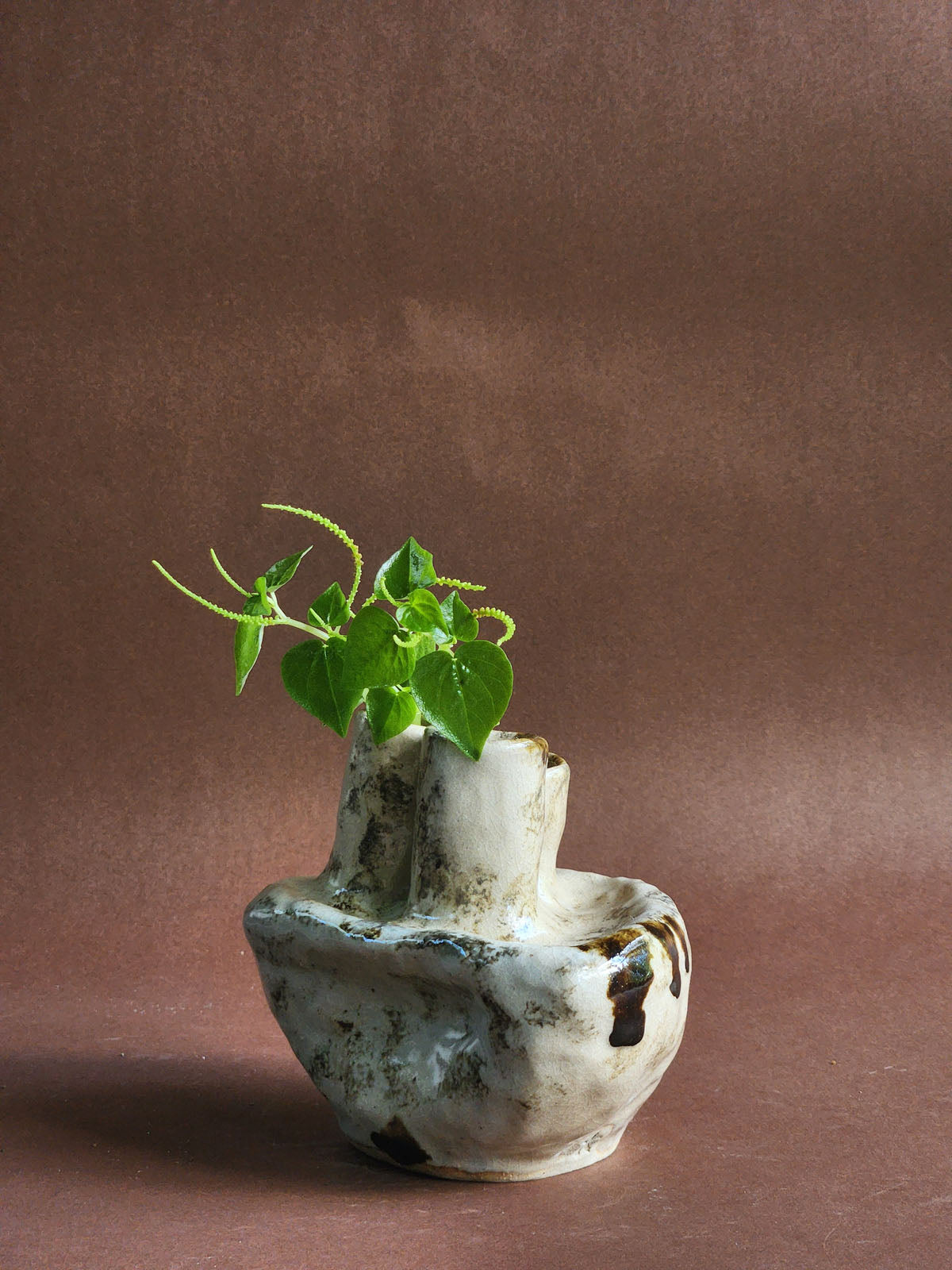 Earth's Offering no. 7