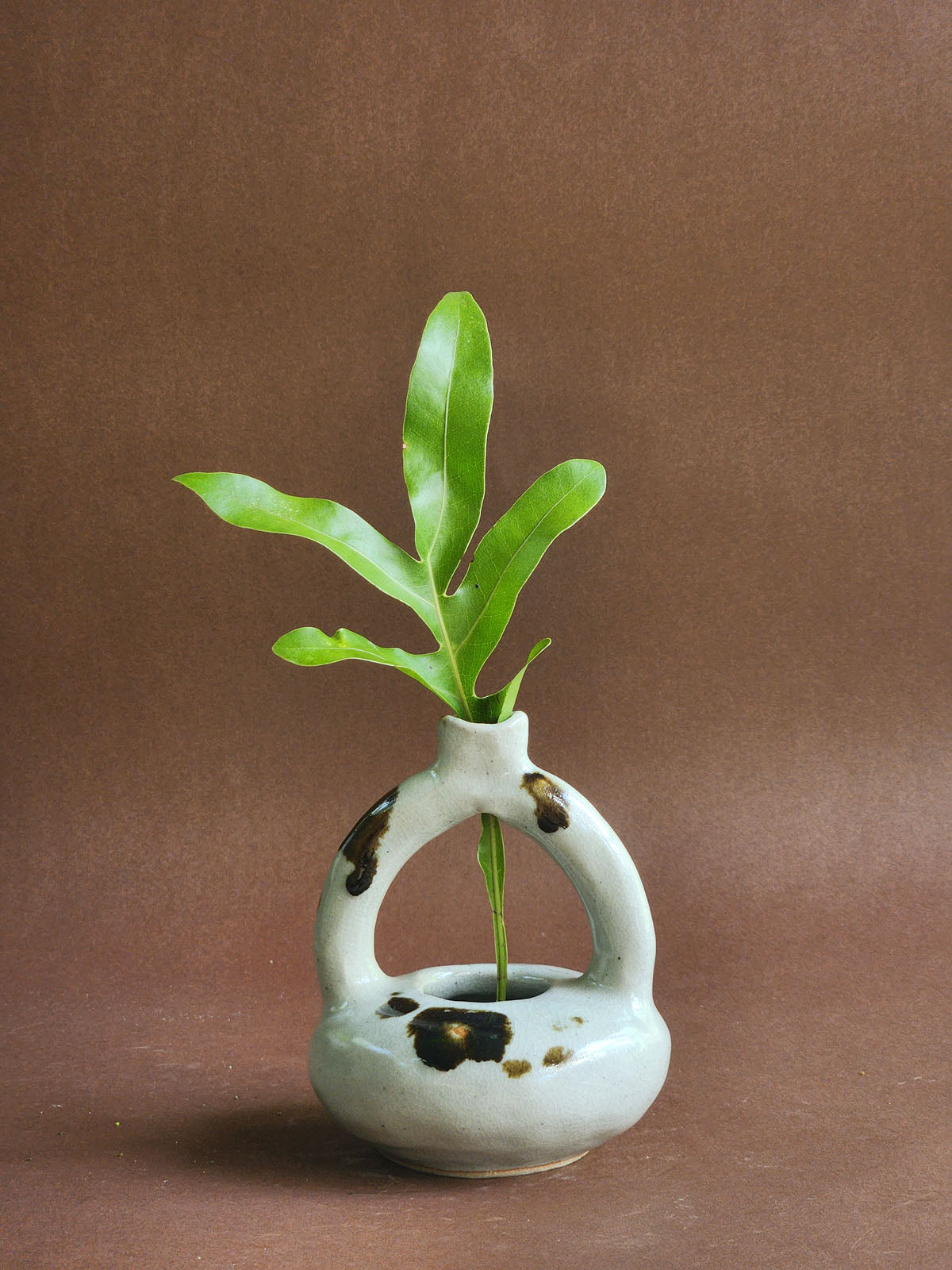 Single Stem Vessel no. 40